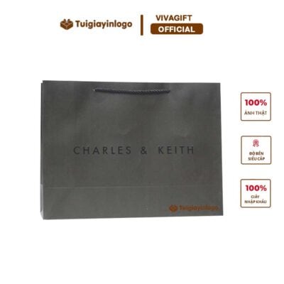 Túi giấy Charles & Keith VIVA9165