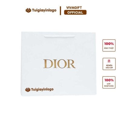 Túi giấy dior VIVA9161